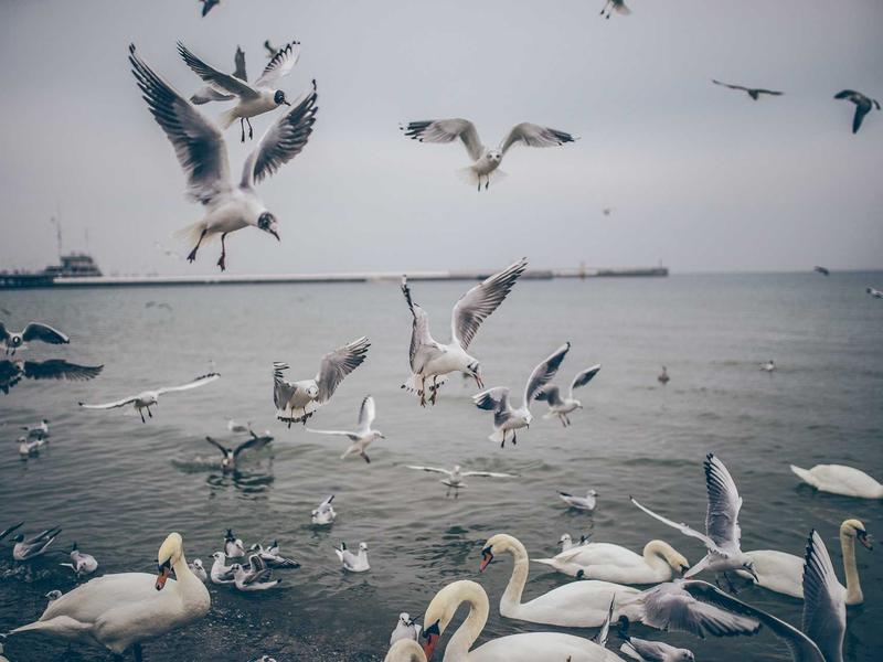 sudoku hints system screenshot 6